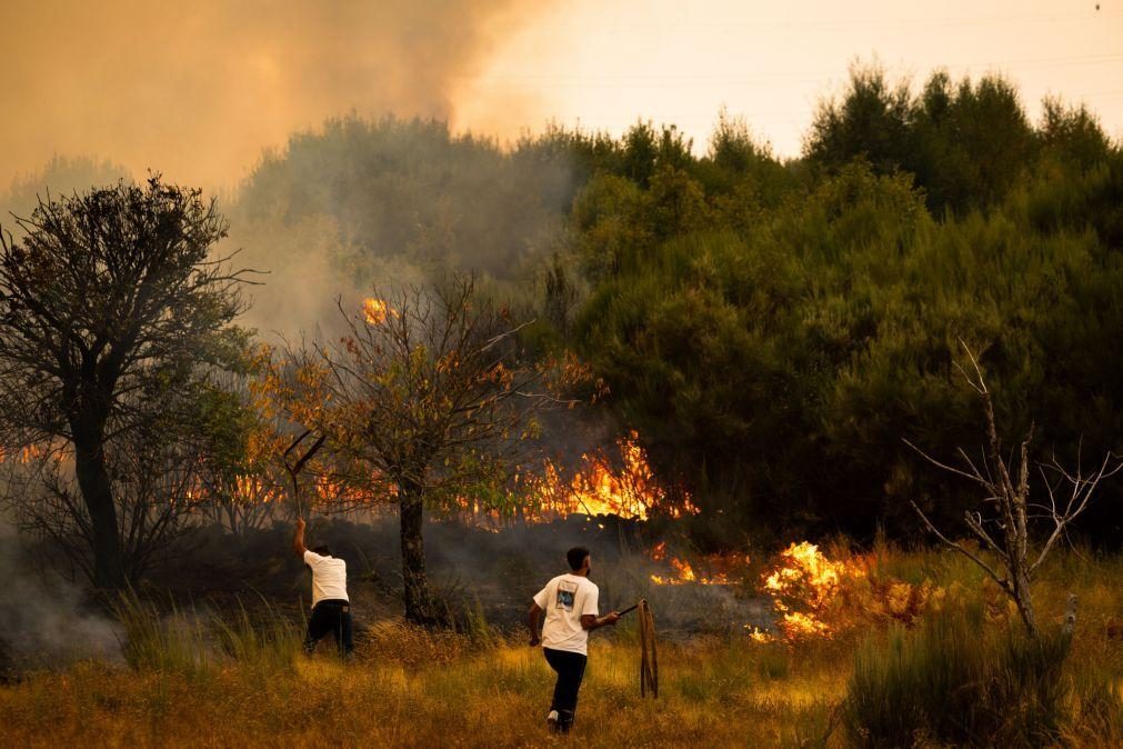 Mais de 80 incêndios às 00:00 combatidos por cerca de 3.700 operacionais