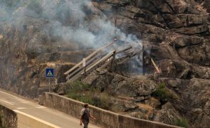 Incêndio de Arouca está controlado e entrou em fase de resolução - bombeiros