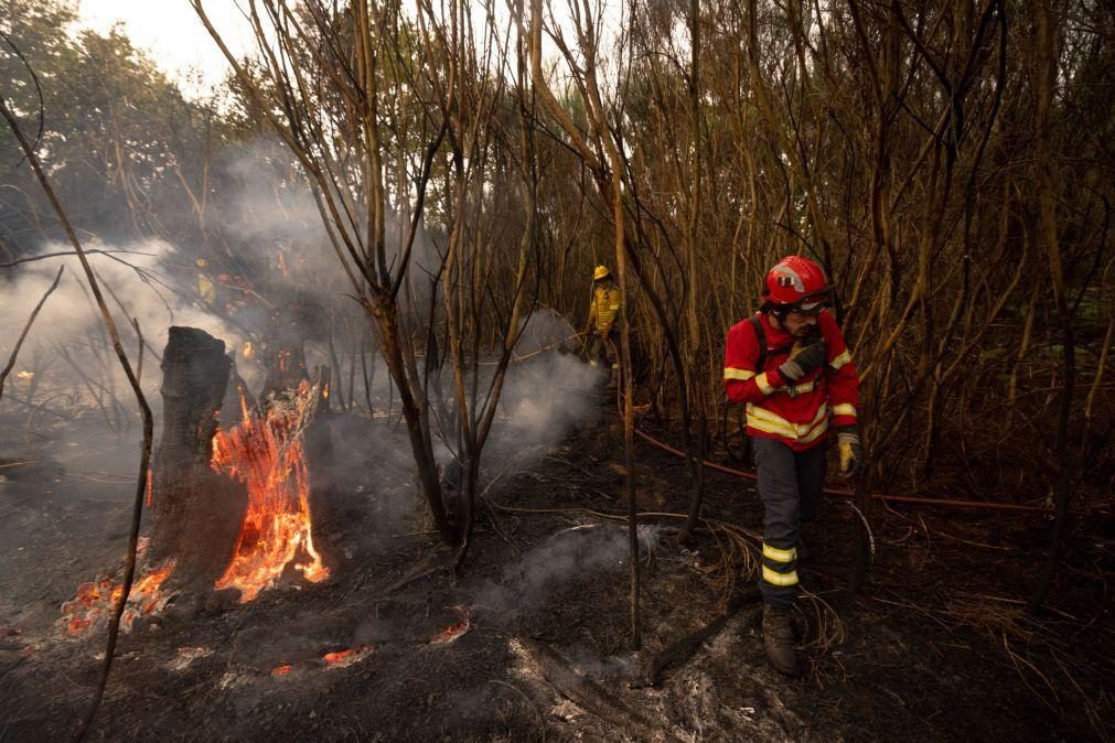 Incêndios de Vila Pouca de Aguiar 