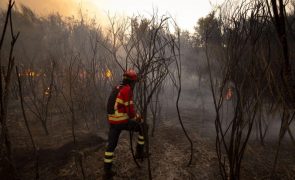 Fogos de Peso da Régua e de Alijó em resolução