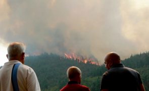 Fogos em Castro Daire os únicos em curso à 09:15 em Portugal continental