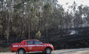 Mais de 124 mil hectares arderam em Portugal continental desde domingo