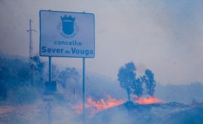 Polícia Judiciária deteve suspeito de atear incêndios em Sever do Vouga