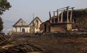 Protestos contra incêndios marcados para hoje em 12 localidades