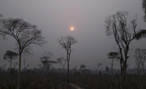 Brasil regista mais focos de incêndio que em todo ano de 2023