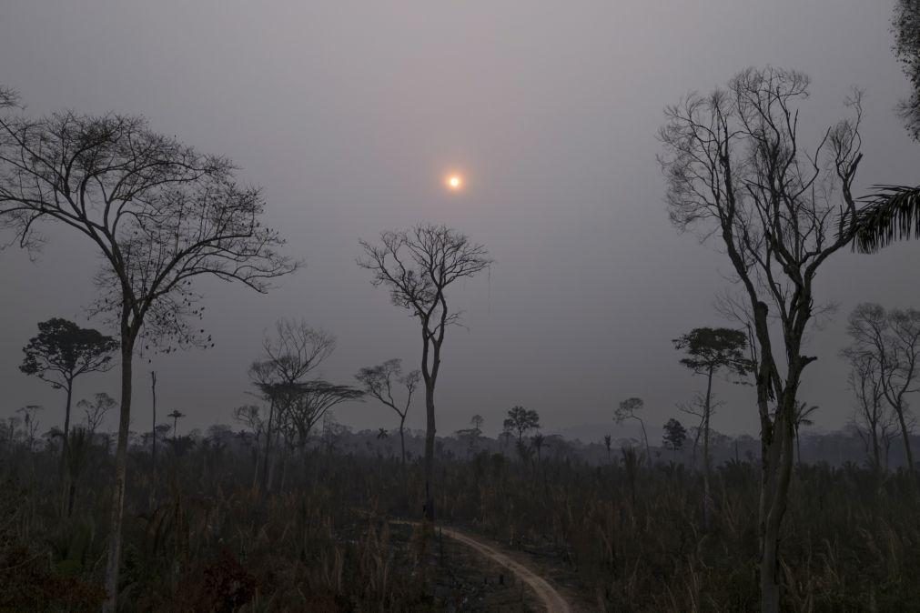 Brasil regista mais focos de incêndio que em todo ano de 2023