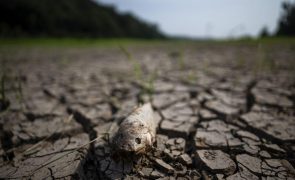 Governo brasileiro diz que 58% do território do país sofre com a seca