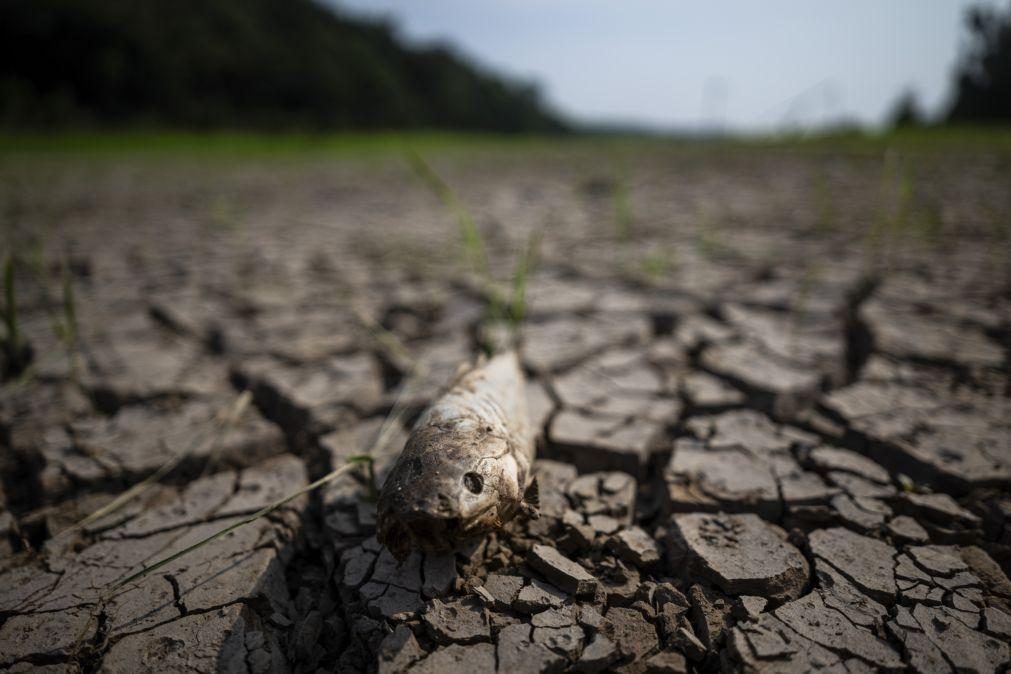 Governo brasileiro diz que 58% do território do país sofre com a seca