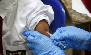 Cabo Verde explora possibilidade de obter vacina contra a dengue