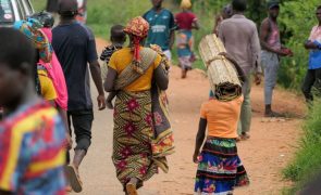 Camponeses começaram a regressar aos campos em Cabo Delgado