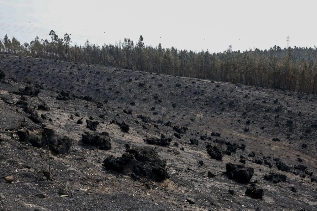 Proteção Civil alerta para riscos de inundações em zonas afetadas por incêndios