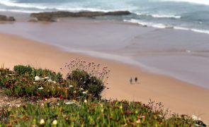 Foco de poluição detetado em praia do Algarve desconhecendo-se a sua origem