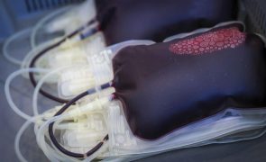 Lisboa acolhe dádiva de sangue para a investigação científica do cancro da mama metastático