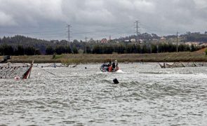 Rio Mondego com menor efetivo de lampreias desde que há registos