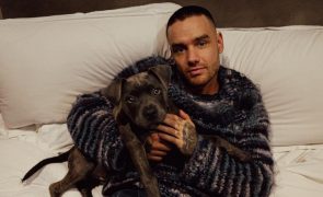 Liam Payne - Álcool e drogas: os pormenores do quarto de onde caiu o ex-One Directon