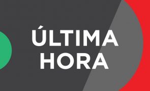 Artista plástico António Sena morre aos 83 anos