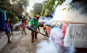 ONG quer replicar em outros países sucesso no combate à dengue em Timor-Leste