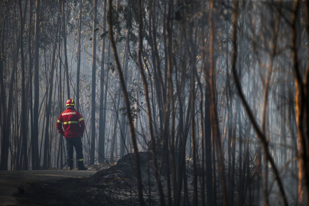 Bruxelas quer alterar regras após Portugal pedir 500 ME para prejuízos dos incêndios