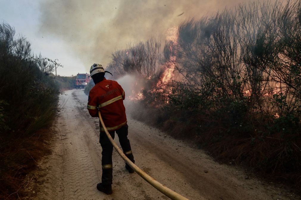 Concelho de Nelas com prejuízo superior a 1,5 milhões de euros devido aos incêndios