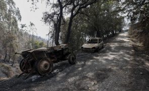 Agricultores do Norte já declaram 1,4 milhões de euros de prejuízos devidos aos incêndios