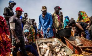 Curta-metragem de Inês Ventura revela a esperança que ainda resiste na Guiné-Bissau