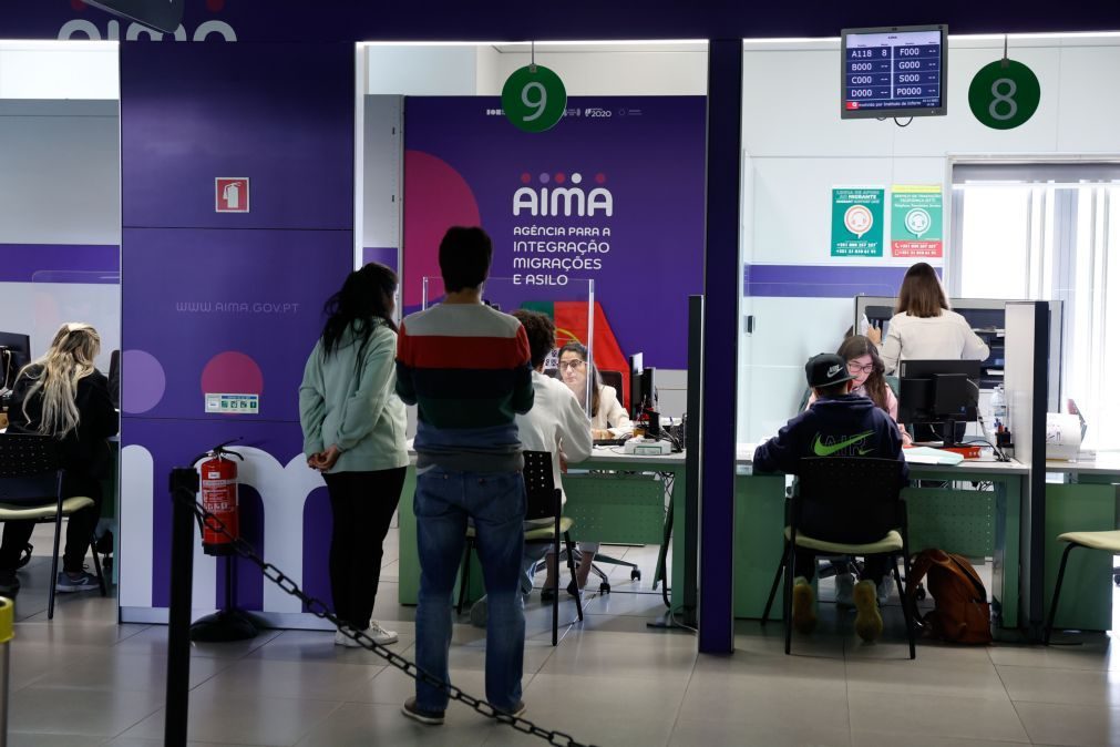 Especialistas elogiam passos recentes da AIMA, após ano difícil