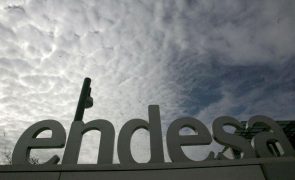 Resultado líquido da Endesa sobe 32,6% para 1.404 MEuro