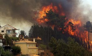 Agricultores do Norte afetados pelos incêndios declaram 2,4 milhões de euros de prejuízos até hoje