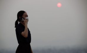 COP29: 30 anos de avisos, promessas e cimeiras