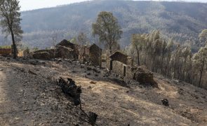 UE aprova verbas suplementares para agricultores afetados por catástrofes climáticas