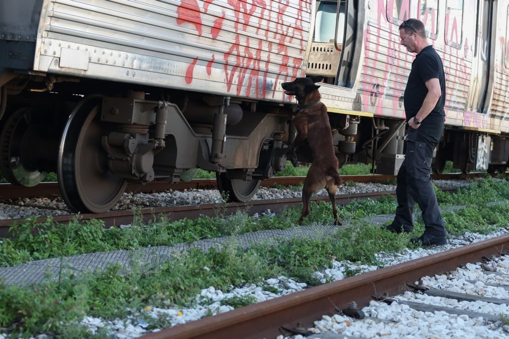 Cães da PSP têm preparação superior e atraem outras polícias para treinos