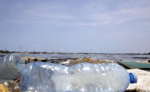 Cientistas descobrem como transformar plásticos em sabões e detergentes