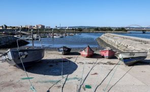 Pescadores da Figueira da Foz alertam para perigo de morte em cais da margem sul