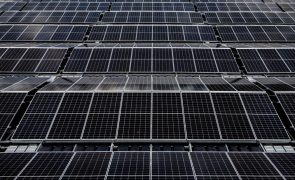 EDP inicia construção de primeira central solar na Alemanha