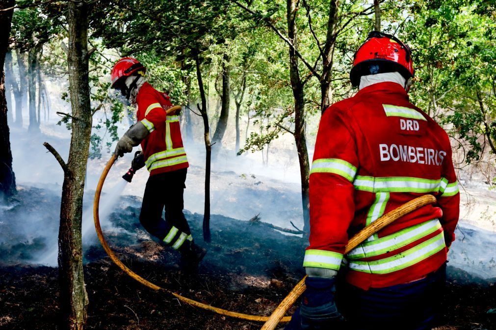 Stellantis doa 225 mil euros a quatro corporações de bombeiros de Viseu