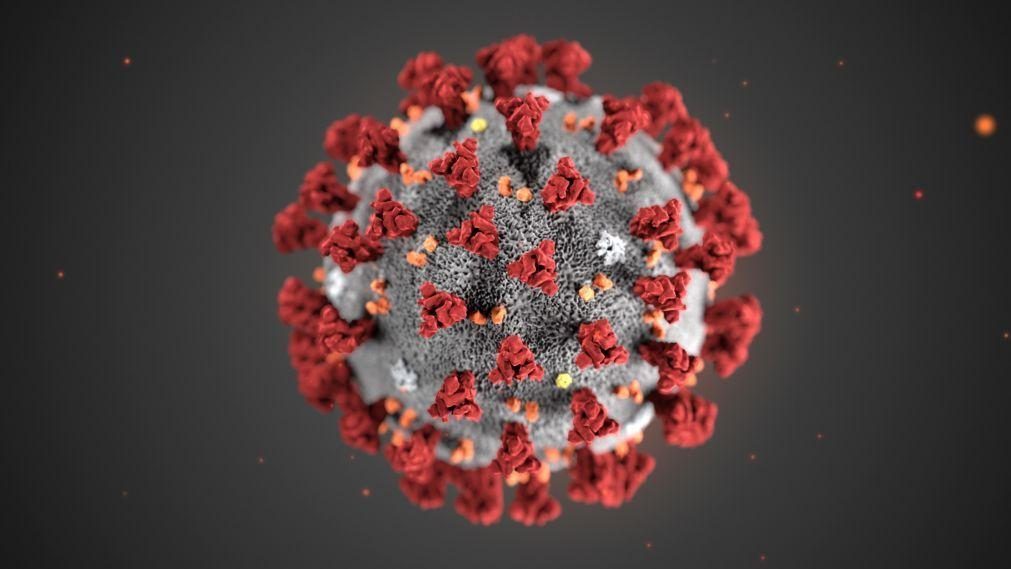 Cientistas brasileiros anunciam descoberta de gene que pode proteger contra covid-19