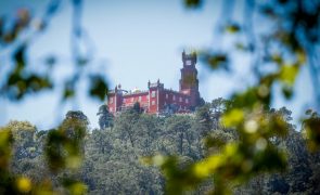 Sintra celebra 30 anos como Património Mundial com visitas noturnas aos palácios