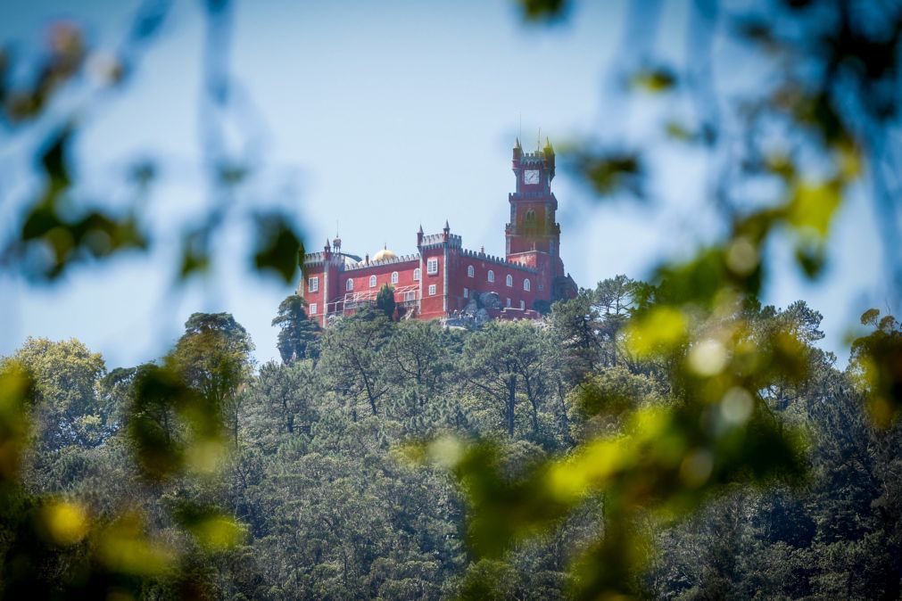 Sintra celebra 30 anos como Património Mundial com visitas noturnas aos palácios