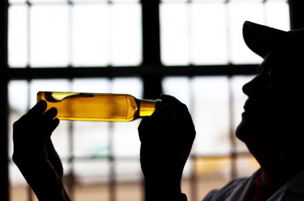 Consumo do azeite deve subir no Natal e preço dependente de
