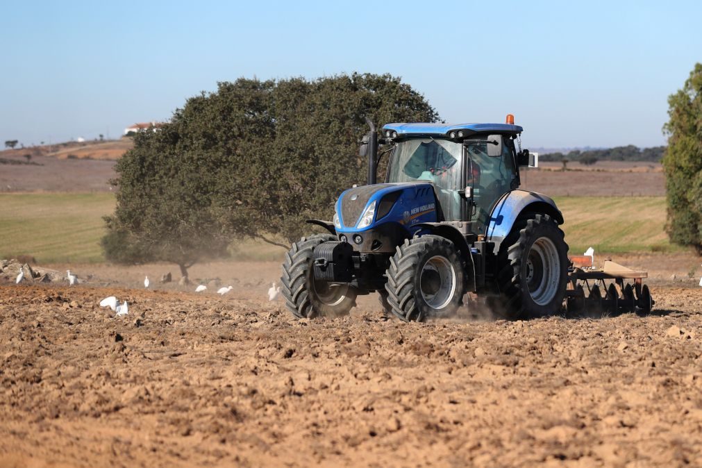 Abandono da atividade agrícola acelera entre 2019 e 2023 face à década anterior