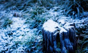 La Niña, com temperaturas mais baixas, será curto e de baixa intensidade