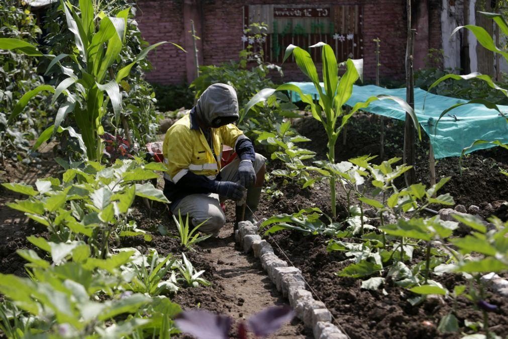 Agricultores brasileiros enaltecem mecanismo anti-protecionista no acordo Mercosul-UE