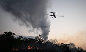 Área afetada por incêndios no Brasil quase duplicou até novembro face a 2023