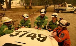 Incêndios florestais na Austrália consumiram área equivalente a Singapura