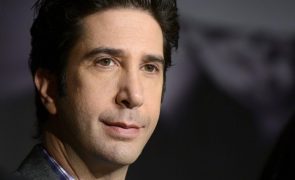 Ator David Schwimmer estudou botânica para protagonizar comédia de terror 