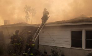 Congressista Jim Costa admite luso-americanos afetados pelos fogos na Califórnia