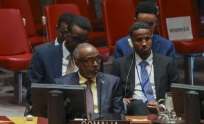 Quase seis milhões de somalis precisam de ajuda devido à insegurança e clima