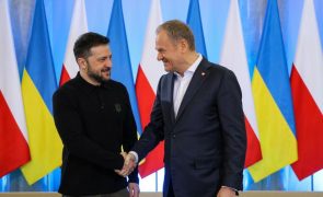 Zelensky quer 