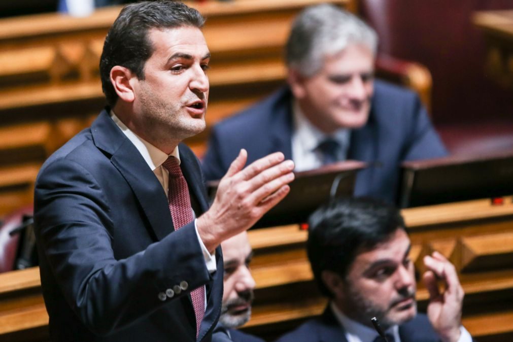 PSD remete para a sua nova liderança solução para lei do financiamento dos partidos