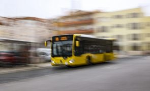 Mais de 174 milhões de passageiros transportados pela Carris Metropolitana em 2024